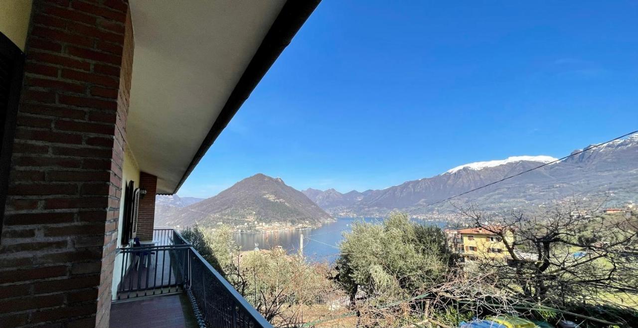 Pernice 77 * Sulzano